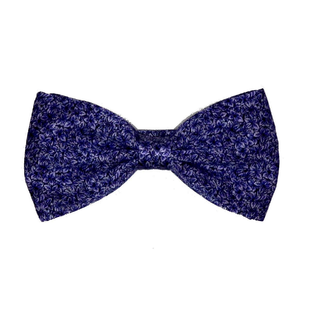 The Bow Tie – Floraison